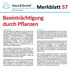 Merkblatt: Beeinträchtigung durch Pflanzen